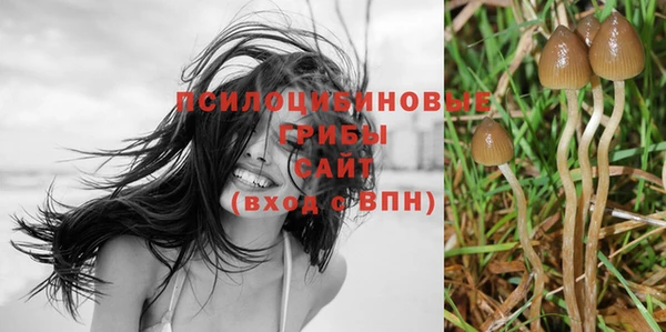 mdpv Алексеевка